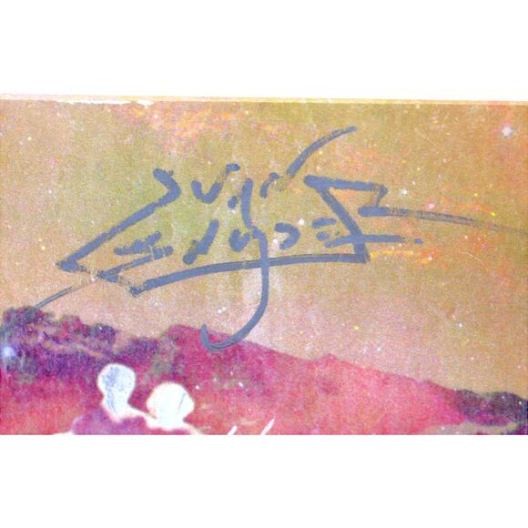 Skytree - Cirrus Sapiens Autographed Signed CD w/ Custom Art - Picture 5 of 11